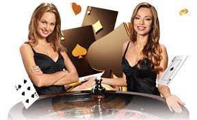 q3333 VIP ကစားသမားများ Deposit Bonus Cashback ရရှိနေသည်